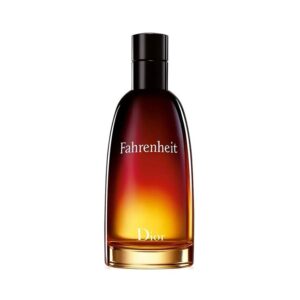 Original Tester Fahrenheit Dior For Men 100ml